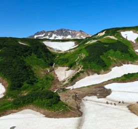 Малая Долина гейзеров (Дачные источники) остров зелени у подножия активного вулкана