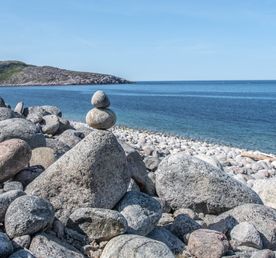 Арктическое лето