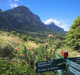 Контрасты Кейптауна: Ланга, великое вино и сады у Столовой горы