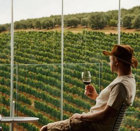 Юар: Кейптаун, киты, пингвины и винодельни