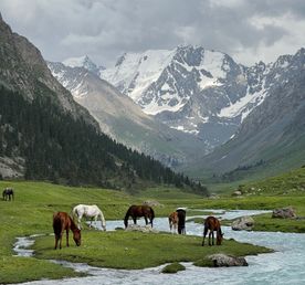 Кыргызстан за 4 дня - программа максимум!