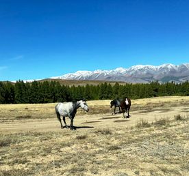 Алтайский край. Наследие Шукшина.
