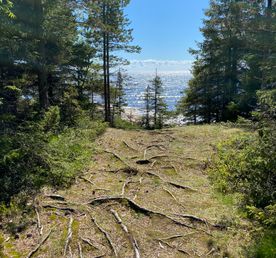 Экскурсия из Репино Карельский перешеек  в царство сосен, озёр и камней