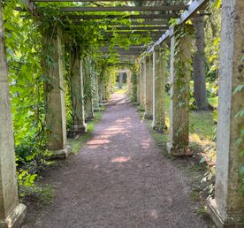 Экскурсия в Ораниенбаум с Меншиковским дворцом и Китайским дворцом