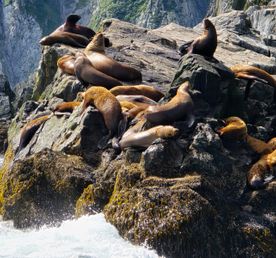 Морской круиз