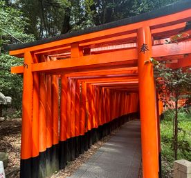 Япония в сезон багряных кленов: осень, суши и поезда-пули