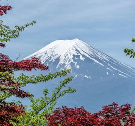 Япония. Гармония и безмятежность. Цветение клёнов.