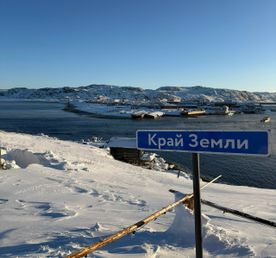 Териберка и киты за 1 день