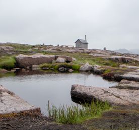 Кольский Меридиан с ночёвкой в Териберке + Кировск + Мурманск