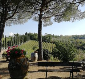 Вино Кьянти: погружение в сердце Тосканы