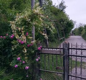 Коммуна русских идеалистов и мистика Абхазии!