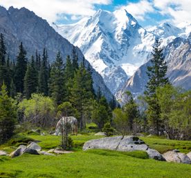 Из аэропорта Бишкека — сразу в горы Тянь-Шаня