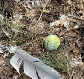 Орнитологический поход в Москворецкий заказник, Воскресенск