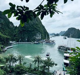 Настоящий Вьетнам: с севера на юг