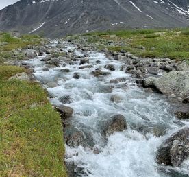 Комфорт-тур на Север:Териберка, Хибины, водопады