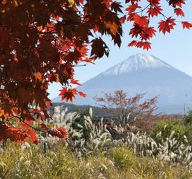 Японские Альпы. От Токио до Киото через Канадзаву