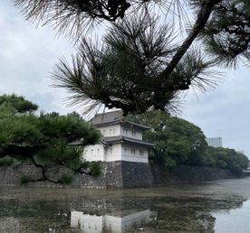 Большой Токио за 5 дней: от древнего Эдо до современного мегаполиса