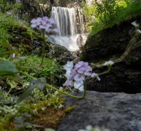 Плато Путорана край водопадов: легкий трекинг, рыбалка и баня