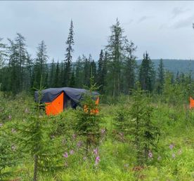 За трофеем на плато Путорана: рыбалка за полярным кругом