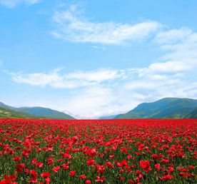 Армения с особым вкусом: 5 дней впечатлений, вина и древней культуры