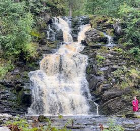 Перезагрузка: Топ места и Домики на берегу. Комфорт +