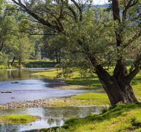 Уральское предгорье