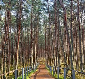 Вся Восточная Пруссия за 4 уникальных дня