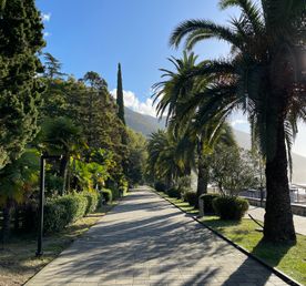 Золотая Абхазия в мини группе