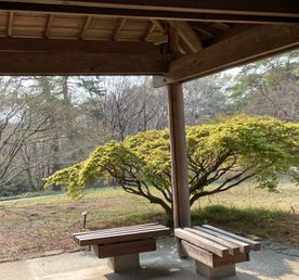 Парк Мусаси Кюрё и японские ёкаи - духи леса