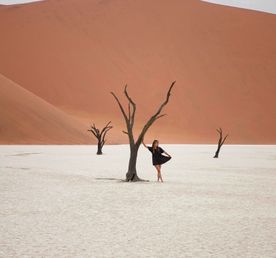 Водопад Виктория и Намибия