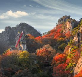 Южная Корея в сезон красных кленов: Сеул, Пусан и национальные парки