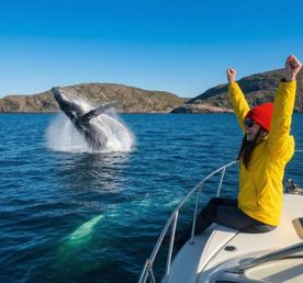 Премиум Кольский до 6 чел. Киты, Териберка, Хибины, Сейдозеро, Джипы, Квадрациклы