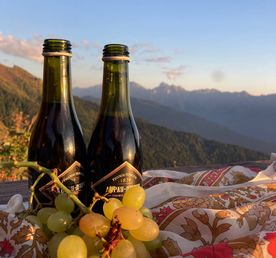 Без галстука — лагерь для взрослых в Сочи