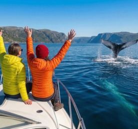 Премиум Териберка до 6 чел. Киты, Отель на берегу, Деликатесы, Сафари на квадрациклах