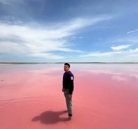 Калмыкия. Цветение тюльпанов.