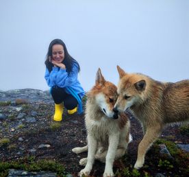 Безлюдный берег Белого моря. Комфорт тур, до 6 чел. Дикая природа, белухи, водопады