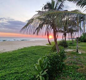 Шри-Ланка - самые топовые локации. Джип-Сафари и отдых на океане