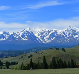 По следам алтая