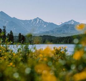 Золотое кольцо Алтая - двухместные домики, питание, катера, сплав.