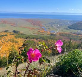Йога-Тур на Байкале