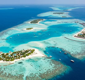 Мальдивы: Экспедиция к акулам и мантам на яхте