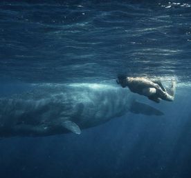 Маврикий - Райский Остров