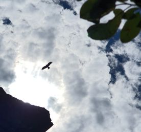 Джипинг по Салаирскому кряжу