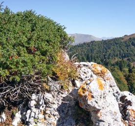 Хочу и Буду! - уникальный ретрит в горах у моря
