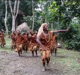 Сафари в Уганде. Треккинг к гориллам