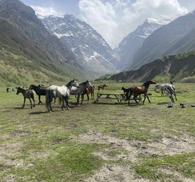 Контраст Кавказа за 4 дня - Северная Осетия и Чечня