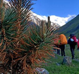 Восхождение на Казбек с Севера + Эльбрус с Юга