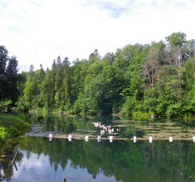 Памятники природы Ингерманландии. Автобусно-пешеходная экскурсия