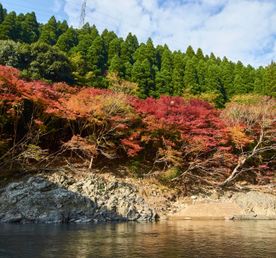 Япония: сезон красных клёнов