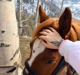 Горы Алматы: высота, ледники и свобода